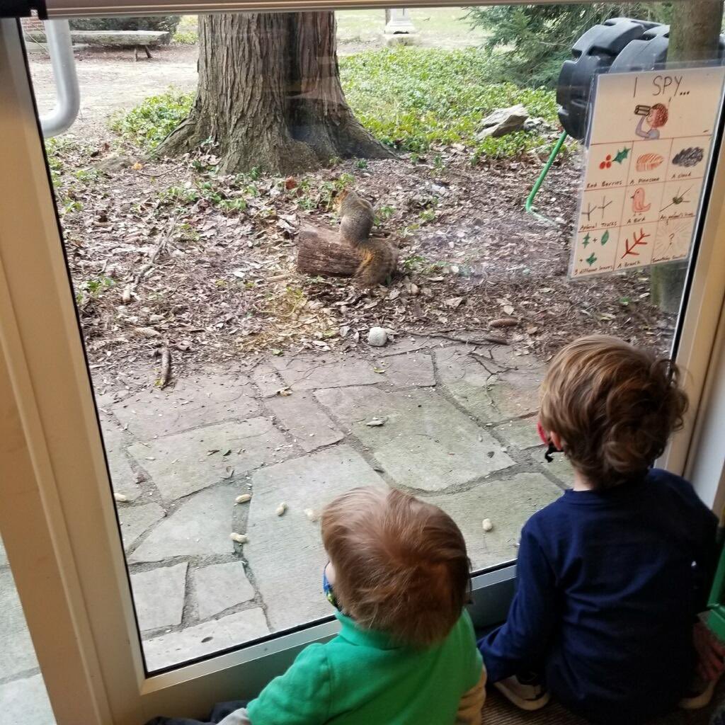 Learning to observe nature both inside and outside every day at #TruebloodPreschool!