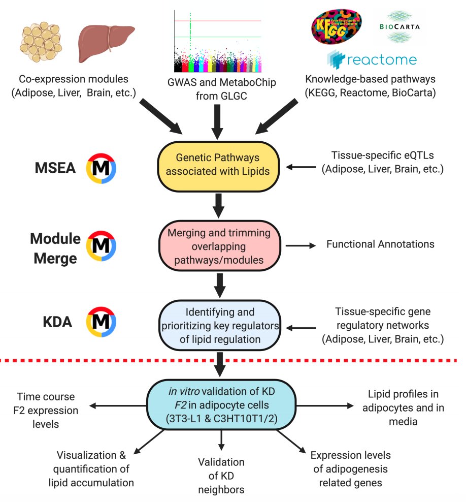 jlipidres's tweet photo. Paper in press: "Gene Networks and Pathways for Plasma Lipid Traits via Multi-tissue Multi-omics Systems Analysis" – #Metabolism #IntegrativeGenomics #GWAS
https://t.co/xKdlhABCxy
@UCLA https://t.co/t9cGw7zbtX
