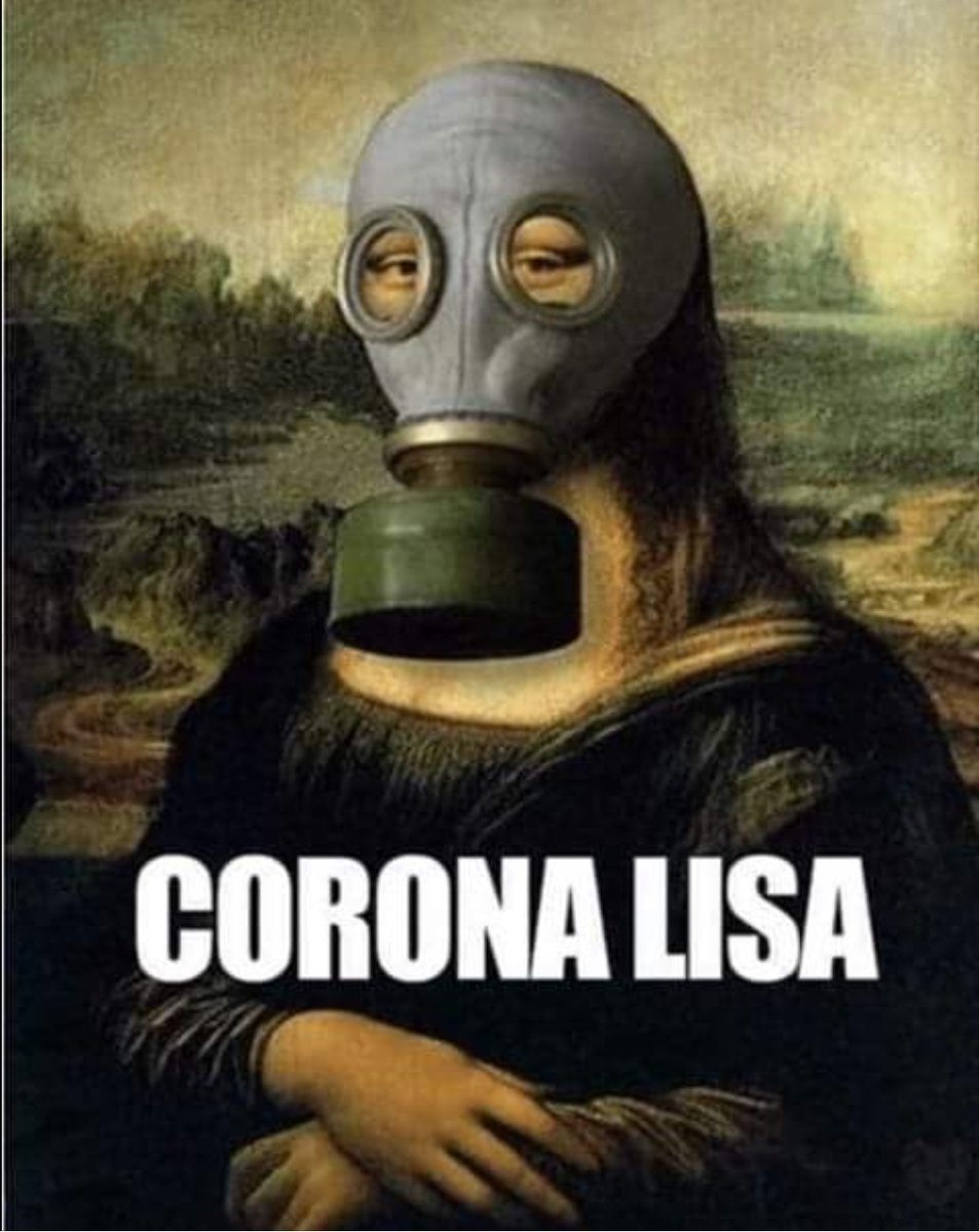 DylanplaysG's tweet photo. EVEN MONA LISA IS MASKIN UP https://t.co/lwp4AEMa3m