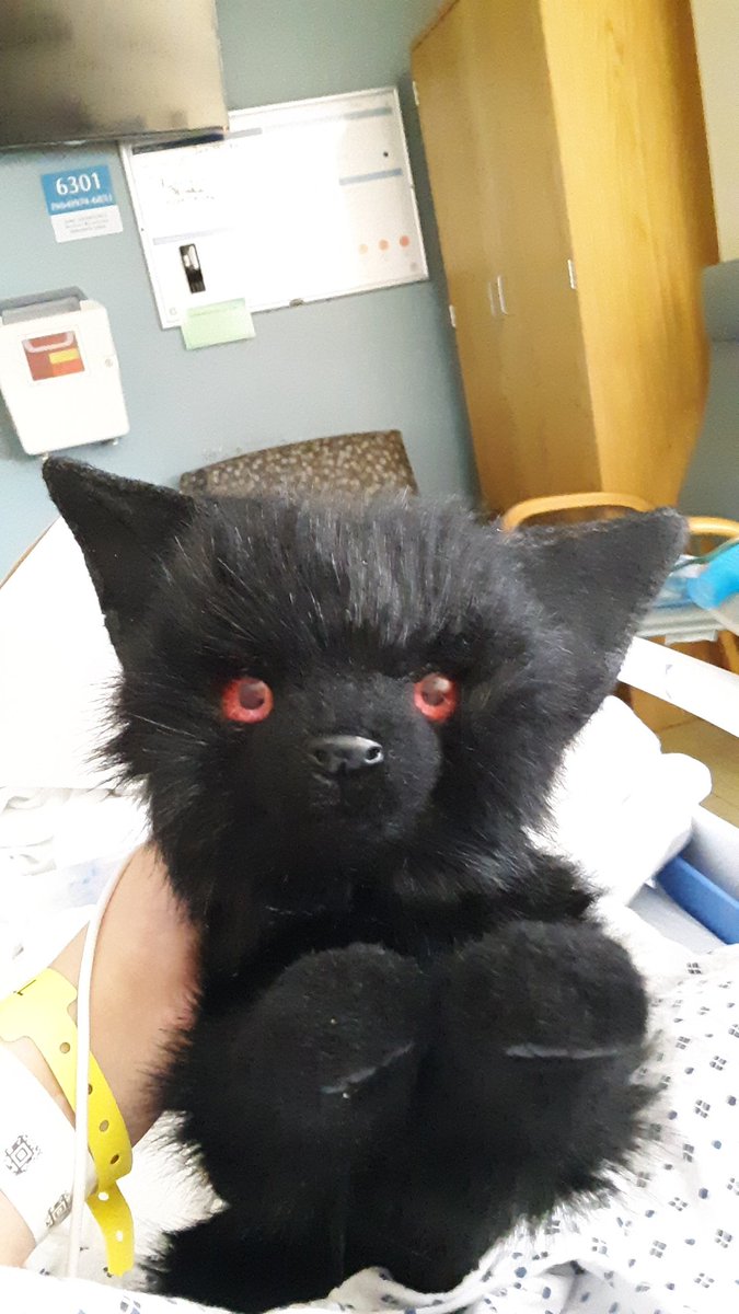 //Meet my shadow fennec fox. Her name is Amura. Isn't she cute? Yes she is a plush, the only animal I can have for now.//