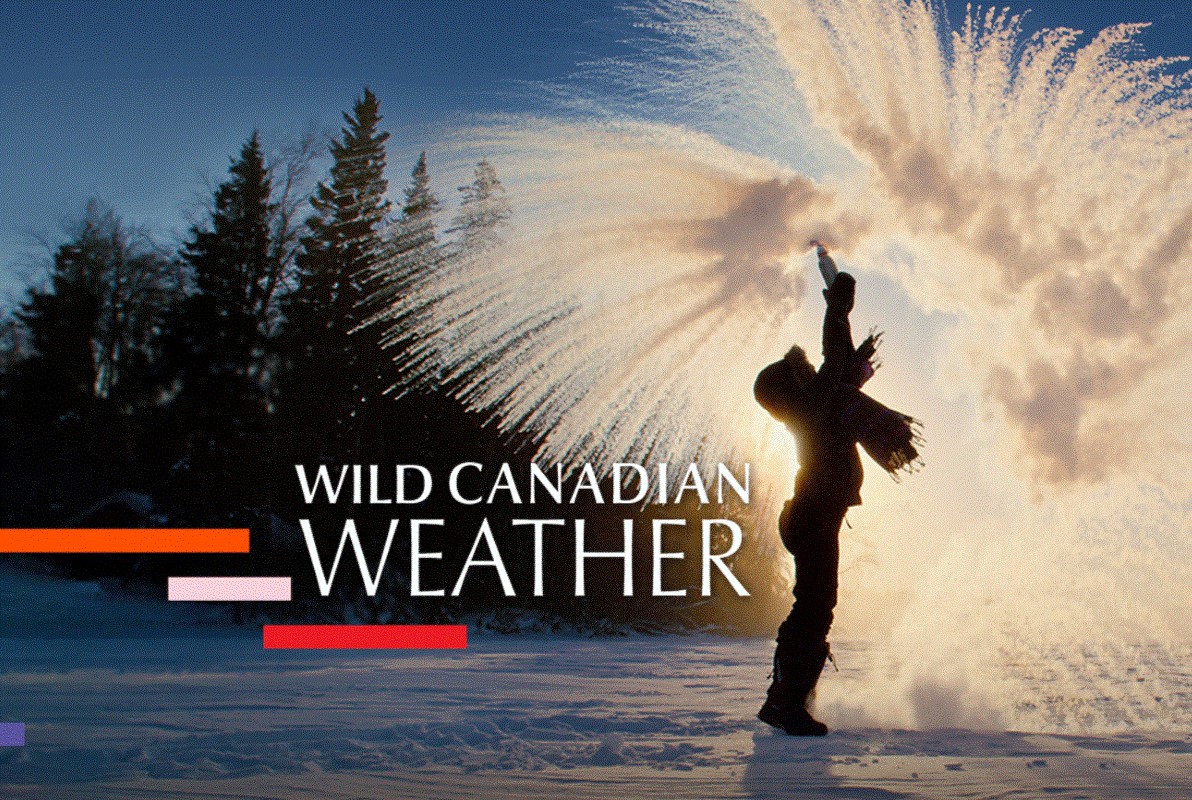 westernuScience's tweet photo. Check out CBC's WILD CANADIAN #WEATHER, a 5-part documentary premiering Jan 15 at 9PM/9:30MT. @westernuAlumni Alex Macmillan &amp; @westernuBio Chris Guglielmo filmed the #bird flight scenes for the #Wind episode in the @westernu wind tunnel @AFAR.
https://t.co/07pER3JELe https://t.co/eifAweklqC