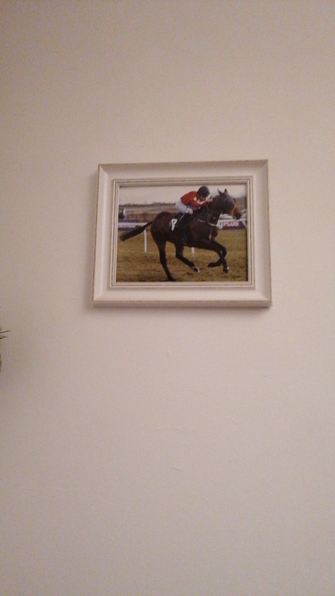 dannimooney1990's tweet photo. @LewisGoddard92 Pride and place in my dining room https://t.co/iASebcag9z