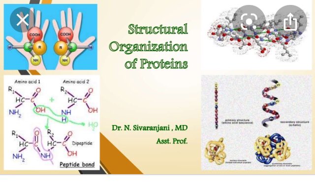 tamraraven's tweet image. #10km3x2 #biodiversity #m3GPS #spatialThink URCPP + #proximity learning as #intution is #CONTEXT SEE #AI #mapMeasureMonitor context proximity #ecology biodiversity #bioinformatics 3D what #alphaFOLD SEE #STEM #K12 #Protein #microbiome #CANCER WORLD LEARN   youtu.be/I51DuprOb0o