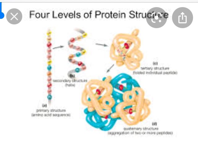 tamraraven's tweet image. #10km3x2 #biodiversity #m3GPS #spatialThink URCPP + #proximity learning as #intution is #CONTEXT SEE #AI #mapMeasureMonitor context proximity #ecology biodiversity #bioinformatics 3D what #alphaFOLD SEE #STEM #K12 #Protein #microbiome #CANCER WORLD LEARN   youtu.be/I51DuprOb0o