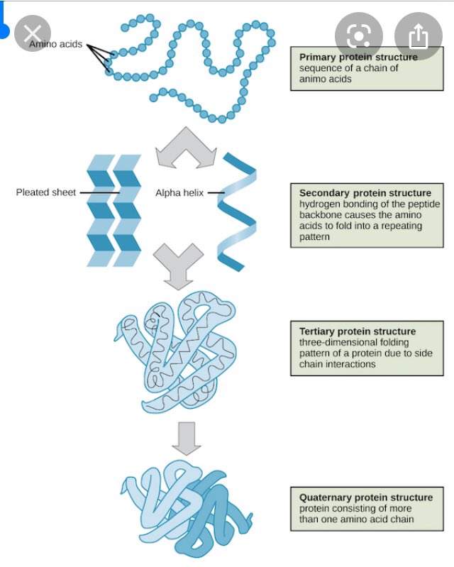 tamraraven's tweet image. #10km3x2 #biodiversity #m3GPS #spatialThink URCPP + #proximity learning as #intution is #CONTEXT SEE #AI #mapMeasureMonitor context proximity #ecology biodiversity #bioinformatics 3D what #alphaFOLD SEE #STEM #K12 #Protein #microbiome #CANCER WORLD LEARN   youtu.be/I51DuprOb0o