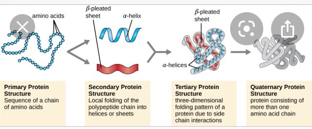 tamraraven's tweet image. #10km3x2 #biodiversity #m3GPS #spatialThink URCPP + #proximity learning as #intution is #CONTEXT SEE #AI #mapMeasureMonitor context proximity #ecology biodiversity #bioinformatics 3D what #alphaFOLD SEE #STEM #K12 #Protein #microbiome #CANCER WORLD LEARN   youtu.be/I51DuprOb0o