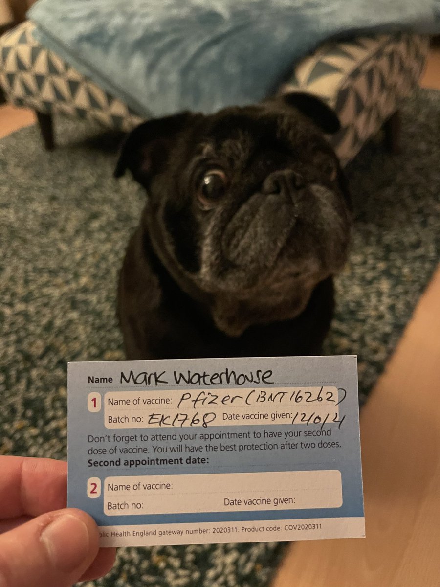 ESTHMark's tweet photo. Vaccine number 1 done ! Now if everyone else could kindly do the same, then we might have a chance of things returning back to normal 😁

*no pugs were jabbed in the taking of this picture https://t.co/97txUh3Syt