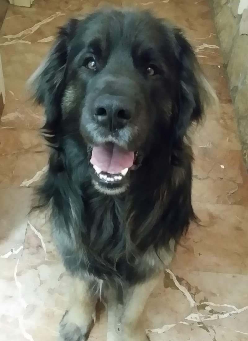 ⟭⟬ ⁷ ᴮᴱLo(ꪜ)ᴇʀ ⟬⟭ ⊙⊝⊜◡̈ tweet media