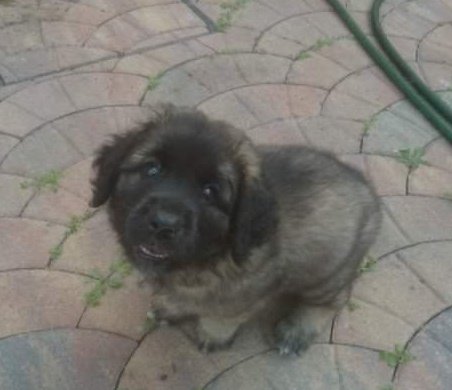 ⟭⟬ ⁷ ᴮᴱLo(ꪜ)ᴇʀ ⟬⟭ ⊙⊝⊜◡̈ tweet media