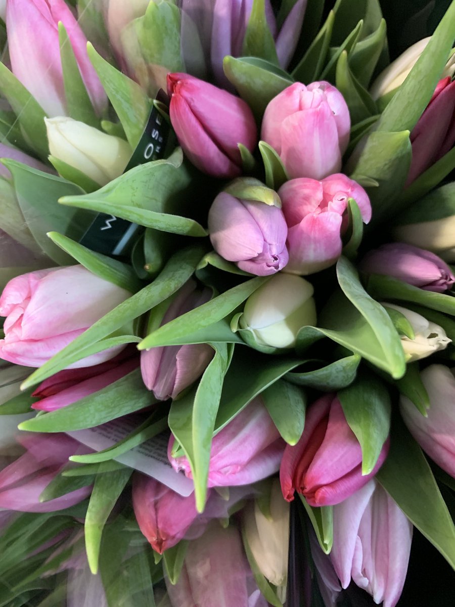 A mixture of pinks and whites, Sorbet in a Waitrose near you # lovebritishtulips
