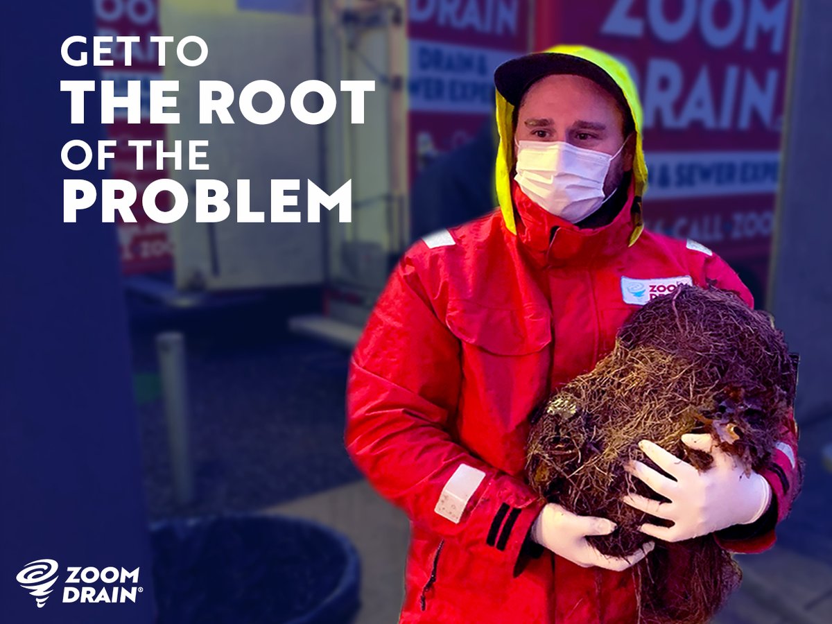 ZOOMDRAIN's tweet image. It’s a boy! Everybody congratulate Kyle on his new root baby. In the end it took 2 hours of power snaking and cutting but he’s finally here.

1 Retweet = 1 Congratulations!
 
#drainproblems #IAmRoot