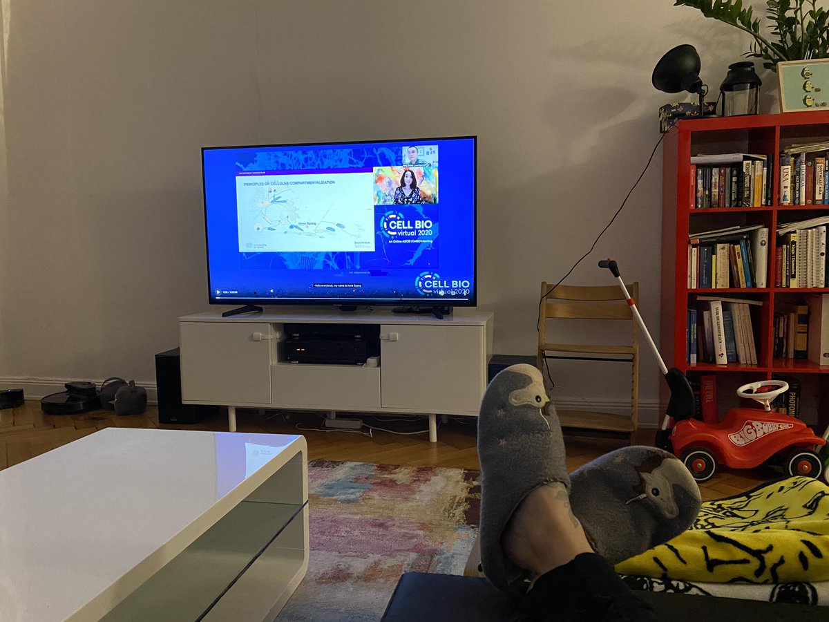 Fran_Bottanelli's tweet photo. Nice evening catching up with some #cellbio2020 talks on a 65 inches screen. First one is @Spang_Lab https://t.co/lpSyB7IOAb
