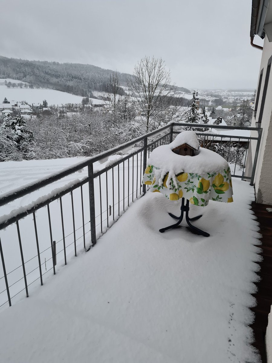 MichaFire's tweet image. Yes. Finally the snow has come.