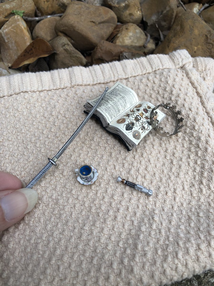 Left a tiny shrine for Queen Elizardbeth. A crown. Cup of tea. Michonne’s sword. Sonic screwdriver. And a book about which insects are edible. Quarantine has made me weird y’all. Or it has given my weirdness a chance to flourish. One of those.