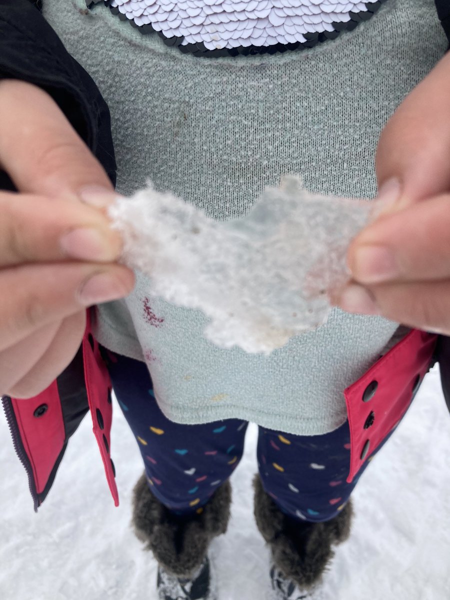 kerapotts's tweet image. After reading about how you can find hearts everywhere, I shared this with a student and sure enough we’ve found them. Love that this is our special thing. @SteeleStreetPS #studentconnection #MentalHealthMatters #heartsallaround 💙