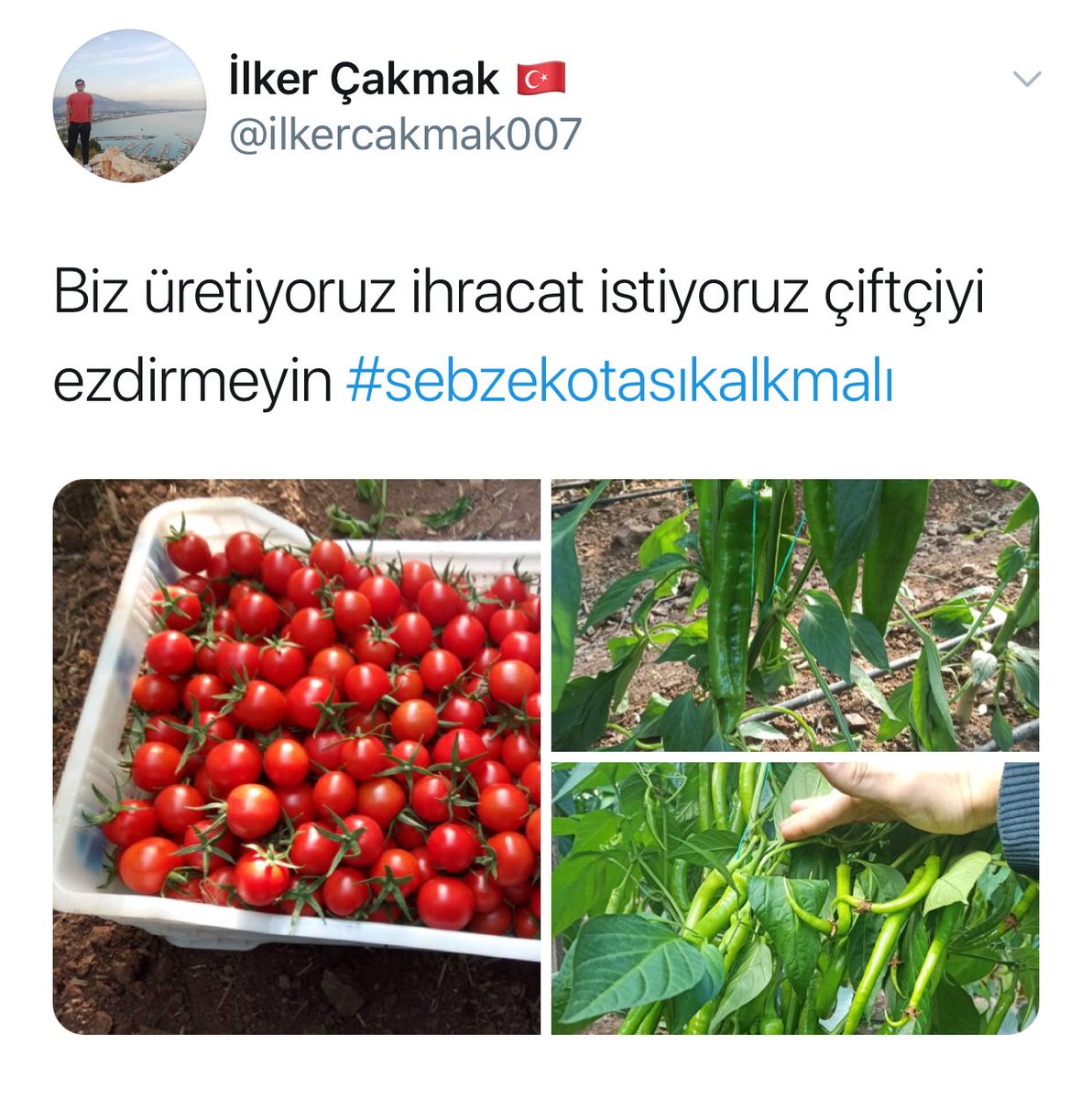 aydinozer07's tweet photo. Çiftçimiz haklı #sebzekotasıkalkmalı https://t.co/X4z2fAKS8q
