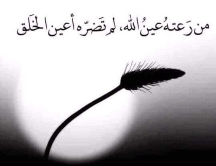 Roro43355050's tweet photo. @LaraMahfouz2 @nbntweets @TarekMMajzoub #مستمرون_بالإضراب https://t.co/YZrDO4jzSW