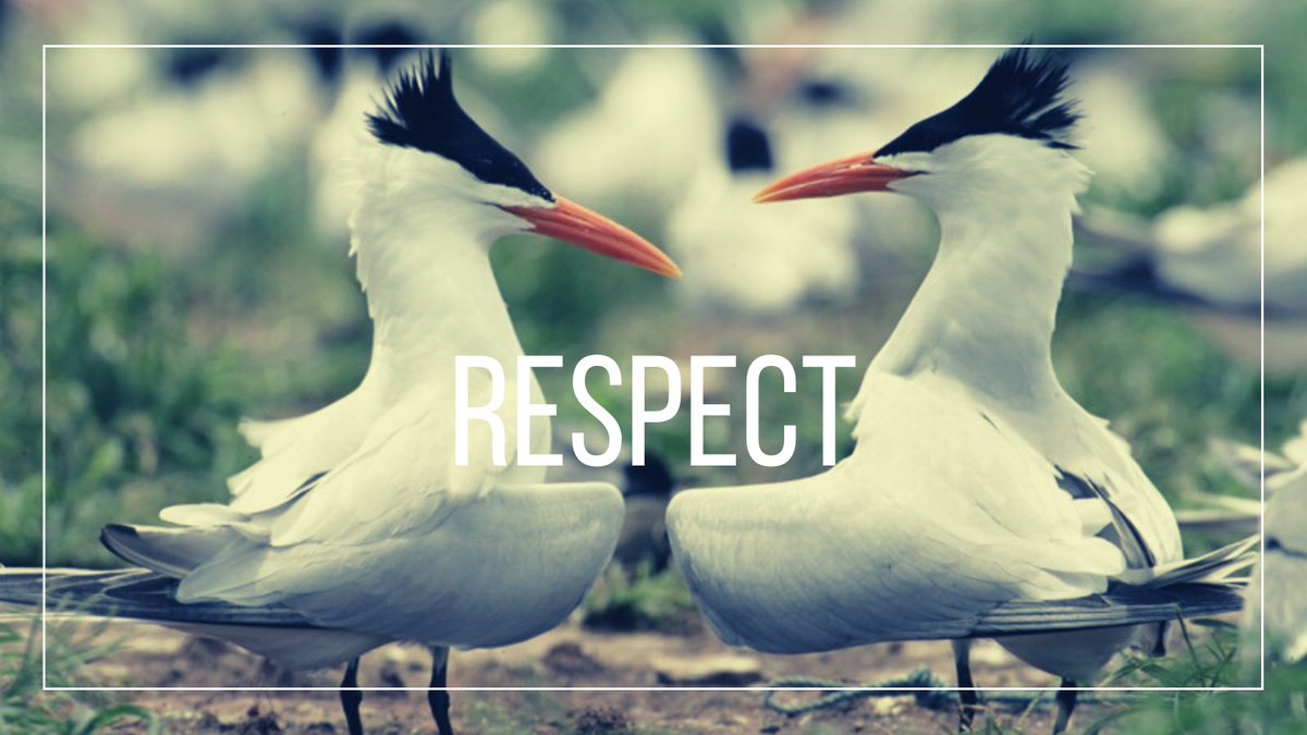 [JOUR 3: RESPECT]
•
•
•
Respectueux de tous les membres de notre organisation, nous sommes tous différents mais complémentaires dans la taille, le positionnement, la localisation de nos entreprises de conseil.

🔜 découvrez qui se cache derrière #forcedexperts

#teasing #envol
