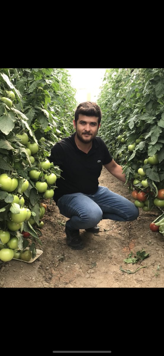 mstfcybs's tweet photo. #sebzekotasıkalkmalı  

@MevlutCavusoglu 
@bekirpakdemirli 
@FOXhaber 
@tgrthabertv 
@AtvHaberTurkiye https://t.co/zEkNkBrh4G