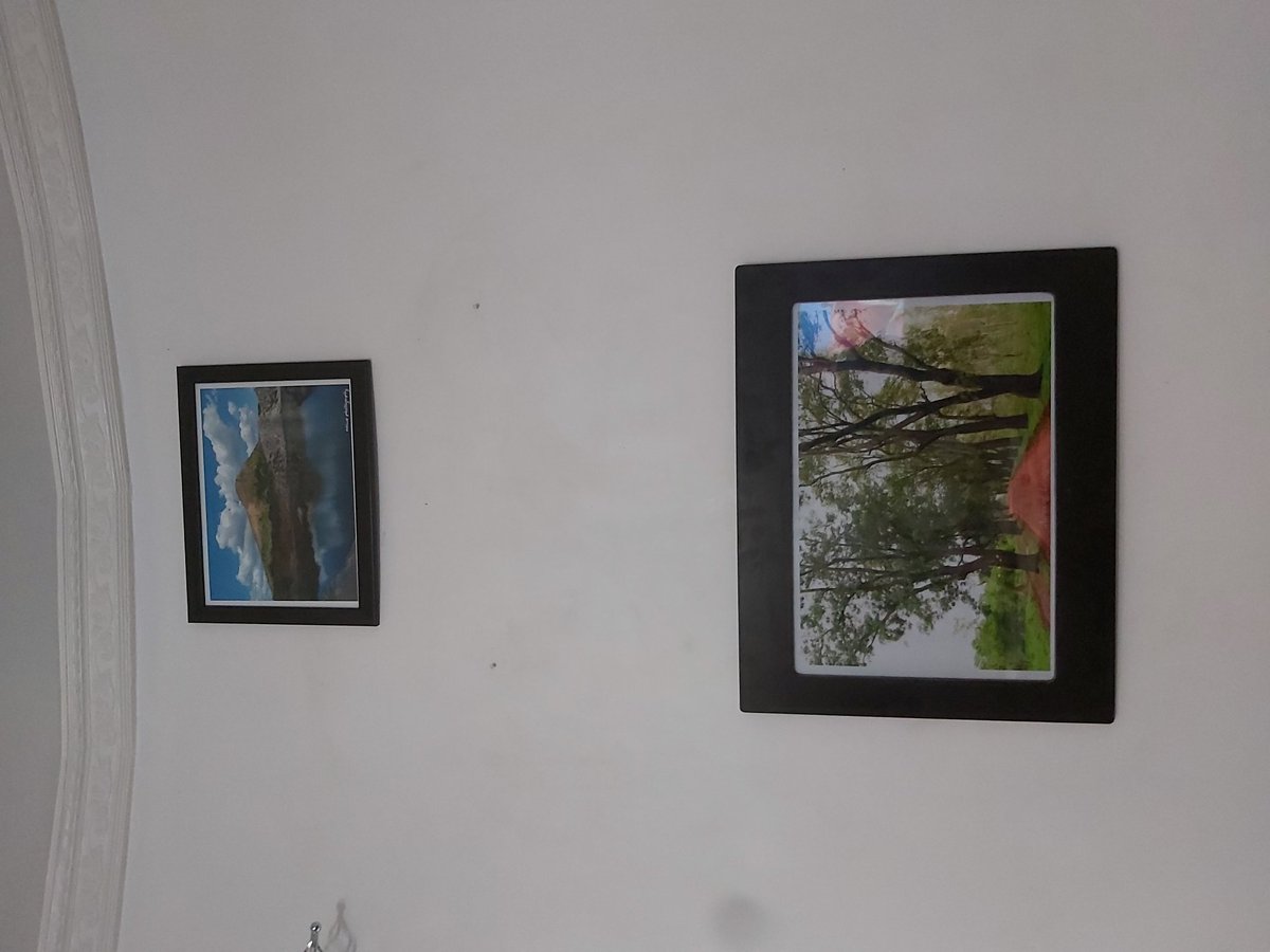 nikiwemtema's tweet photo. Hey guys, I'm selling my photos printed &amp; framed or unframed, sizes A2-A5. Please DM or WhatsApp me on 0994 659 439 for prices, more photos or any other enquiries. 😊
Please retweet, thanks. 🙏🏽 https://t.co/JIFg9tb6Ng