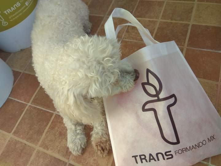 icniuh_love's tweet photo. #TransformandoMX una maravillosa iniciativa de recolección y transformación de popós de 🐶🐱🐰🐭 en fertilizantes regeneradores de suelo y una porción de esa popó volverá a nosotros en forma de composta 🐶💩👉🌱❤ https://t.co/KAlEtBlori