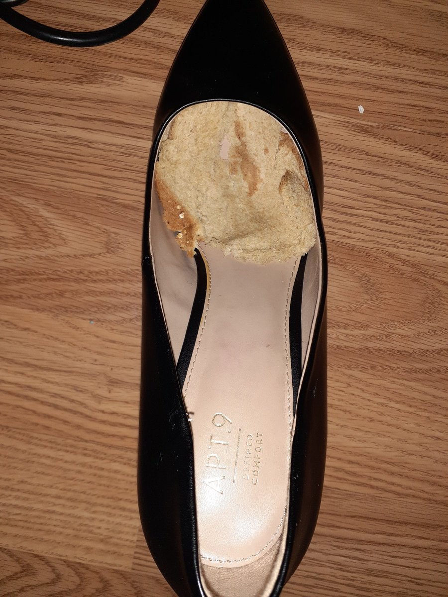 pursuedsub's tweet photo. Hoping everybody has a better lunch than me...
#femdom #shoeworship #footfetısh #footslaves #sissy https://t.co/AwuGrE7fFp
