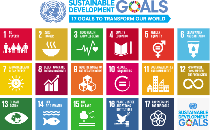 3) The 5x IMM for Dodla Dairy means that for every $1 that Rise invests, we expect to generate $5 of positive social impact.Each IMM calculation is rooted in one or more of the UN's 17 Sustainable Development Goals (SDGs)