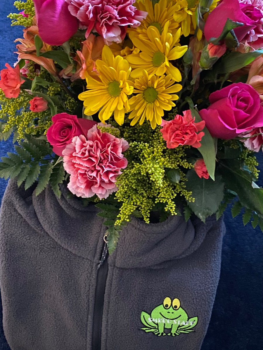 Amy Plummer tweet media