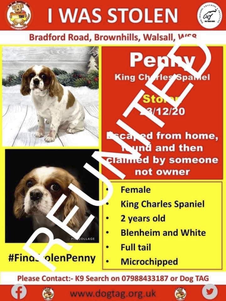 CavalierHealth's tweet image. 