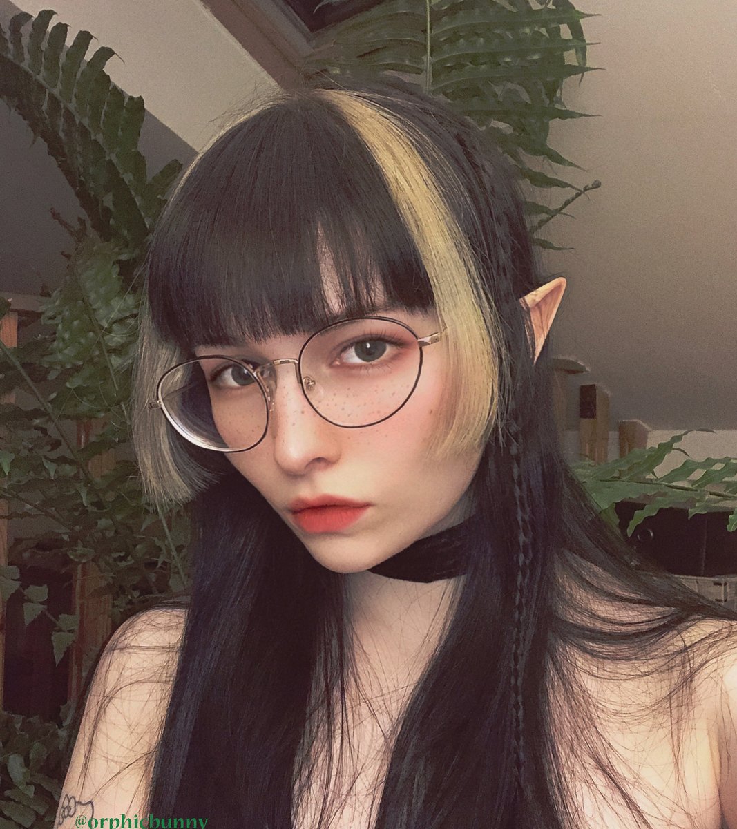 𝙤𝙧𝙥𝙝𝙞𝙘𝙗𝙪𝙣𝙣𝙮 𓃹 FREE OF on Twitter: "elf gf anyone?…