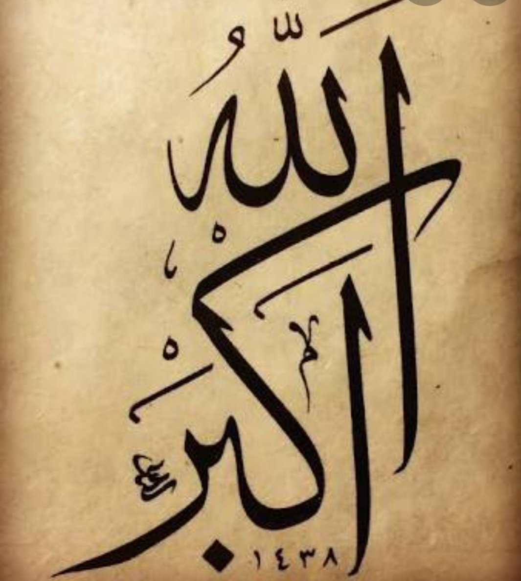 Ali Demiray (@alidemi03322829) on Twitter photo 