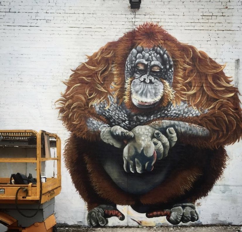 TheGreatestApes's tweet photo. more #protectpongo art by louis masai! https://t.co/f9Z0dF9K2s