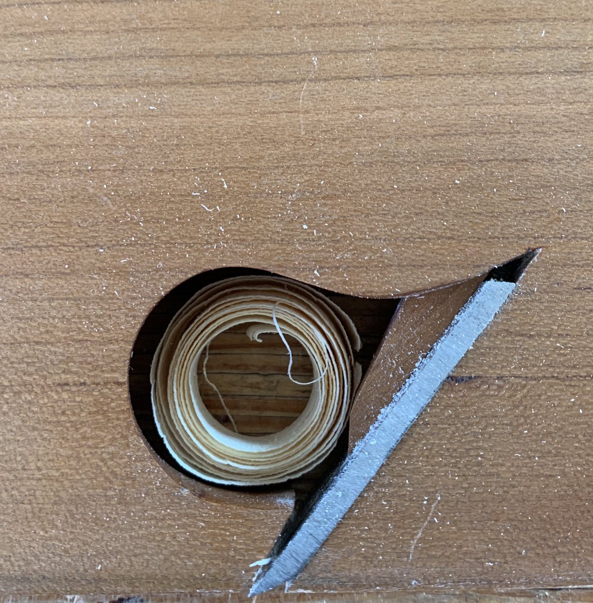 1snugthejoiner's tweet photo. “Rabbet” or “rebate?” 

(This is all the fight I have left in me.) https://t.co/sHcQ3Sl3vL