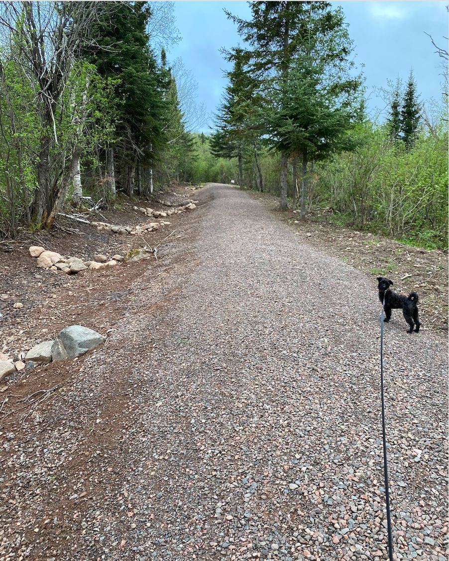 There’s something about an open road and no destination to clear your head! 🍃