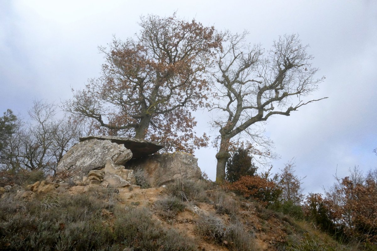 AlquezarAngel's tweet photo. Van ser les seves vides, no la d'altres ni la nostra. Potser va ser un petó de sal i terra i desprès l’oblit, potser. 
Tornem aquest 2021 a #DimartsDeDolmens amb ressons d’oblits al collet de Sú #Pinós. https://t.co/rSNhR9Y2NF