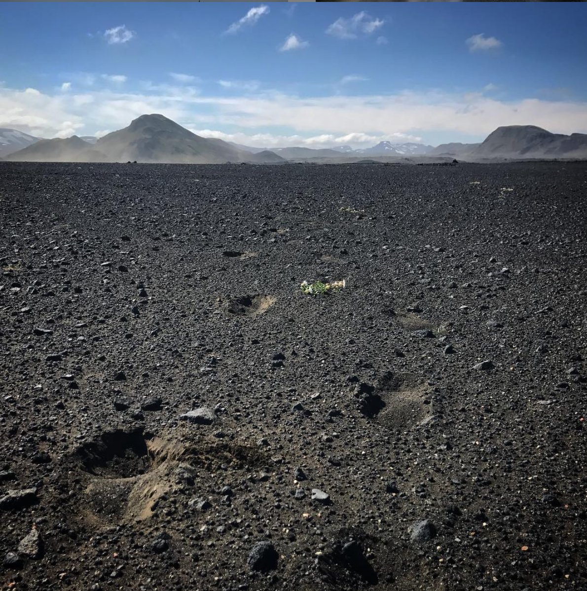 MrArsenie's tweet image. Privileged to have had many amazing #NatGeoEducation PDs. But proudest to be a Nat Geo Grosvenor Teacher Fellow- most for the friendships I made AND educational experiences! 
@LindbladExp
 #GrosvenorTeacherFellow #NatGeoCertified.  
#ConnectingFurther #EducatorExplorer #iceland