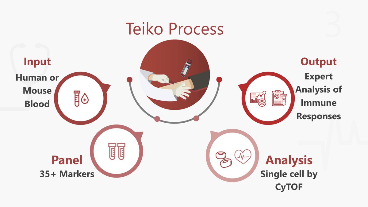 Teiko tweet media