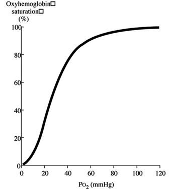 To understand why this happens we must first visit the Oxyhaemoglobin disassociation curve (ODC)The curve has a sigmoid shape due to the varying affinities of each heme group for O2. Ie; when O2 binds to the first group, the affinity for the second is enhanced and so on..