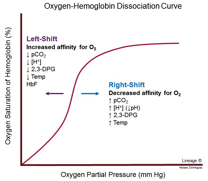 There are factors that cause the ODC to shift to the left ( O2 affinity) or shift to the right ( O2 affinity).. these are:-CO2-pH-tempIn the context of Covid-19 patients we predominately look at Carbon dioxide concentration..
