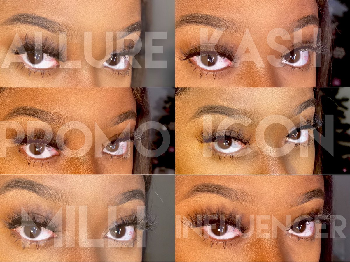 Boss Lash Company tweet media