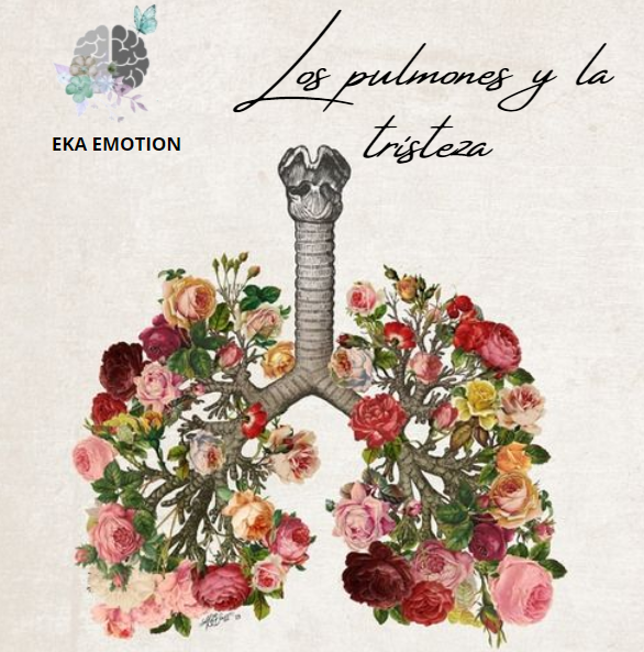 eka_emotion's tweet photo. 🍂El pulmón esta asociado a la tristeza muy profunda, a la sensación de «respirar» del entorno o ambiente situaciones muy difíciles y dolorosas, sobre todo del entorno familiar. https://t.co/0GClhrTGKx