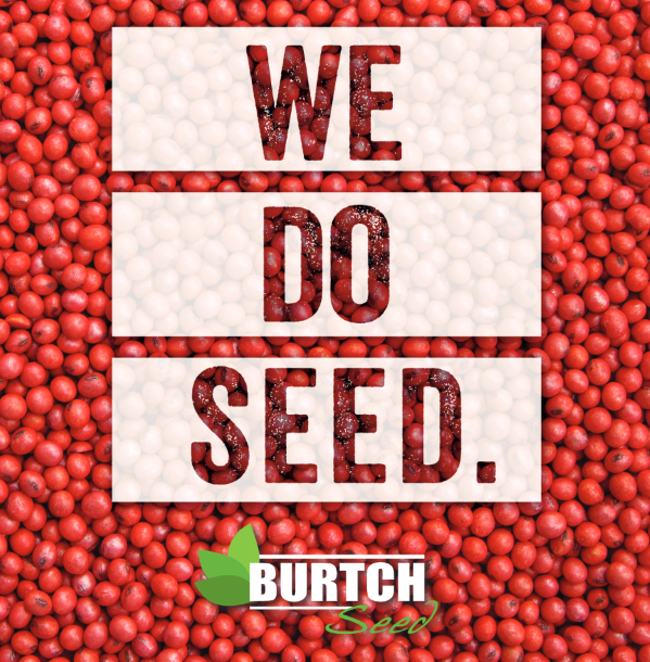BurtchSeed's tweet photo. Did you know you can view our 2021 Seed Guide online? Click the link below to flip through.

>> https://t.co/9UUEm1Skyl

Need more information? Our team is here to help you. Contact us today.

#BurtchSeed #WeDoSeed #Plant21 https://t.co/V8KZkmQCmd