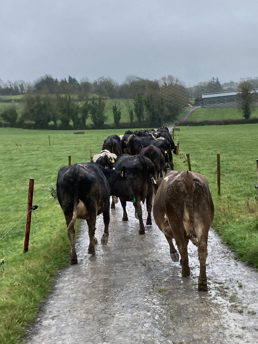 Catherine tweet media