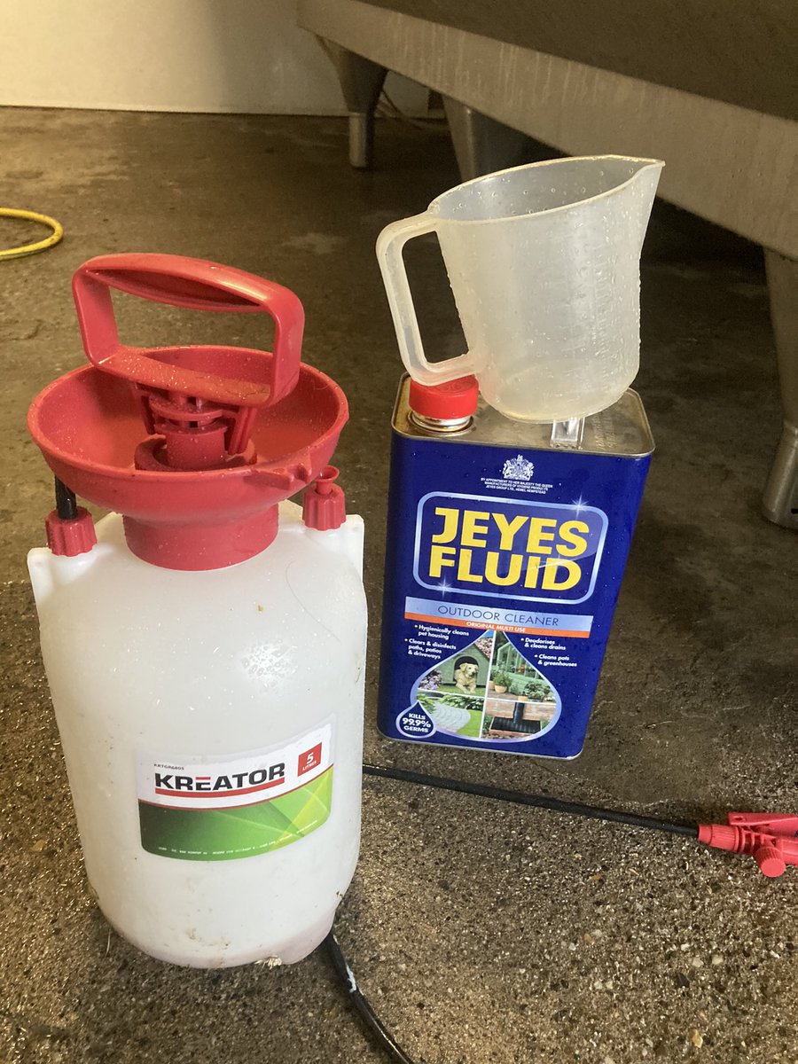 Catherine tweet media