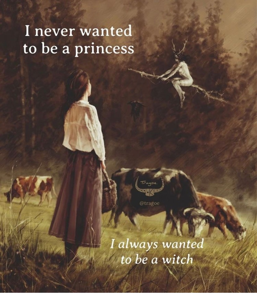 Zenhäxan🧙🏻‍♀️🐕‍🦺❤️🌕 tweet media