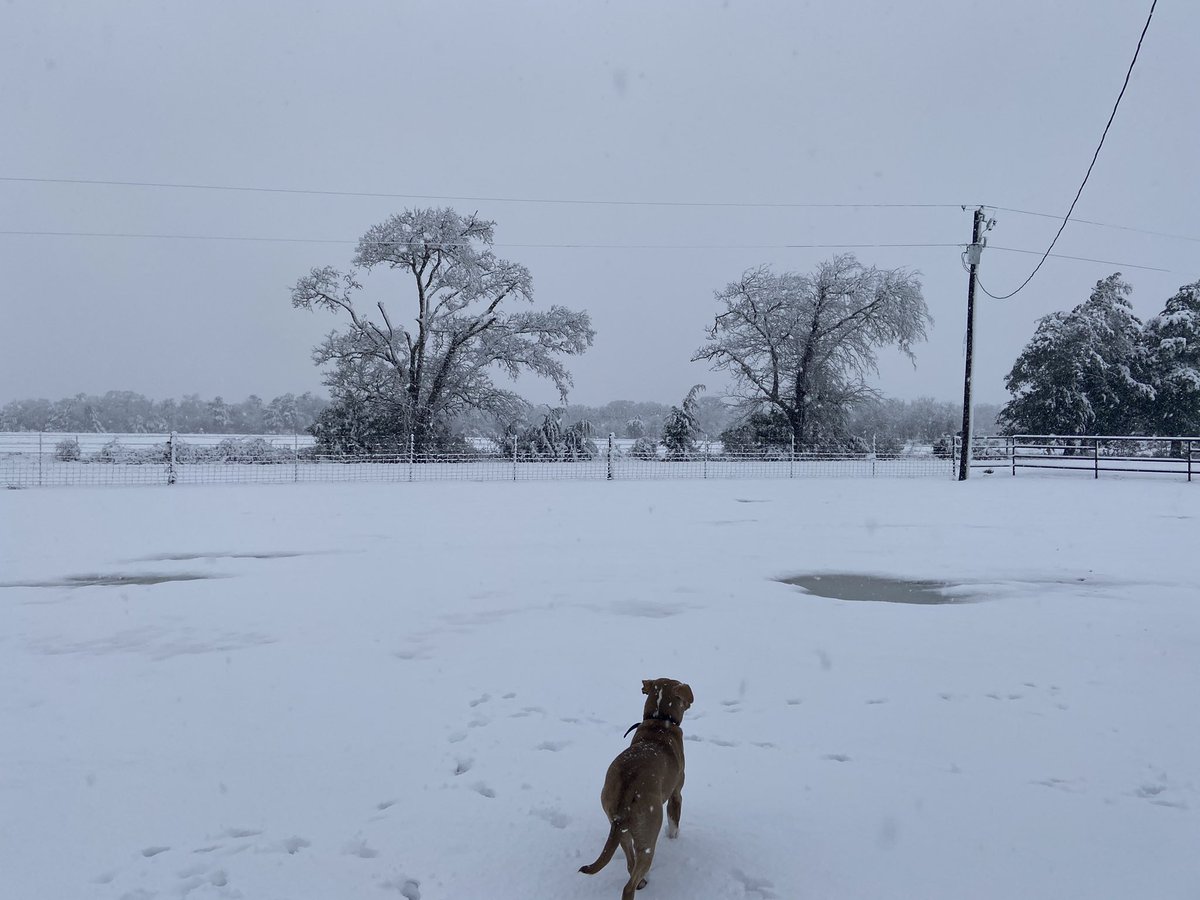 andi_lissner's tweet photo. Snow surprised us! https://t.co/l1njjD3FGw