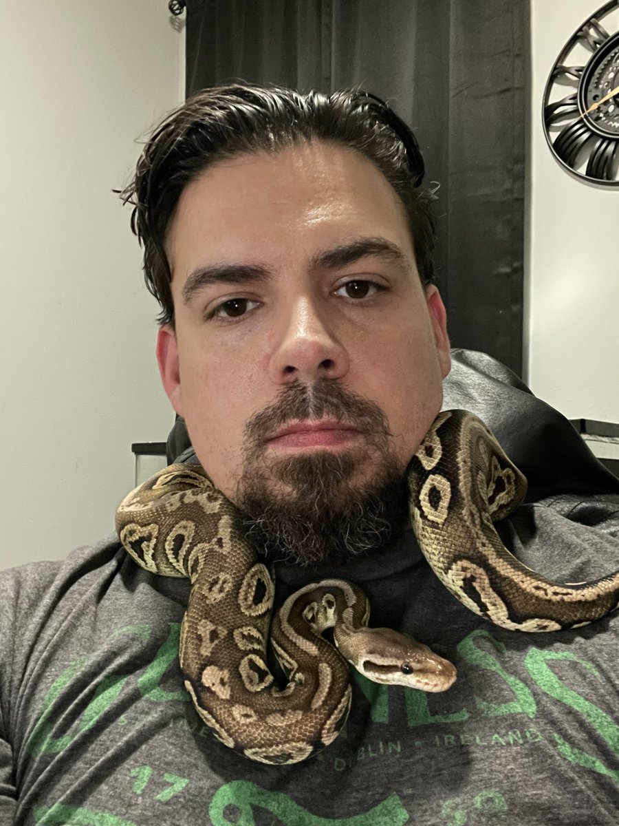 Ravenouz2's tweet image. This is Rhea. Also one of the few pics I have posted of myself. #ballpython #ballpythonsoftwitter
