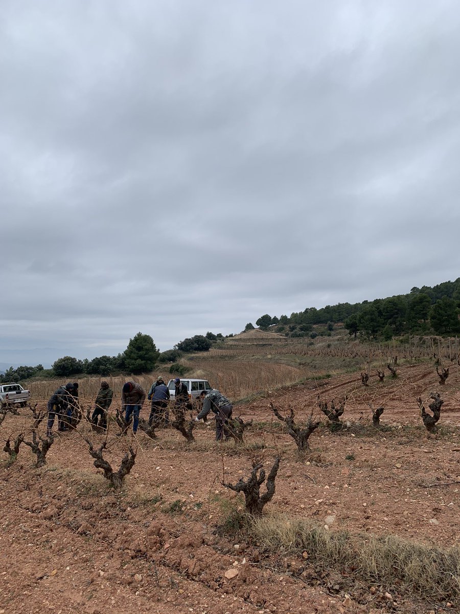 Exhaurides les places del curs de Grau 1 del 16 de gener i també de Grau 2 dels dies 22-23-24 de gener. Noves places de Grau 1 pel 6 de febrer i Grau 2 del 12-13-14 de febrer; noves places de Grau 2 dels dies 29-30-31 de gener a Ribera del Duero, que es farà a <a href="/Valtravieso_VT/">Bodegas Valtravieso</a> .