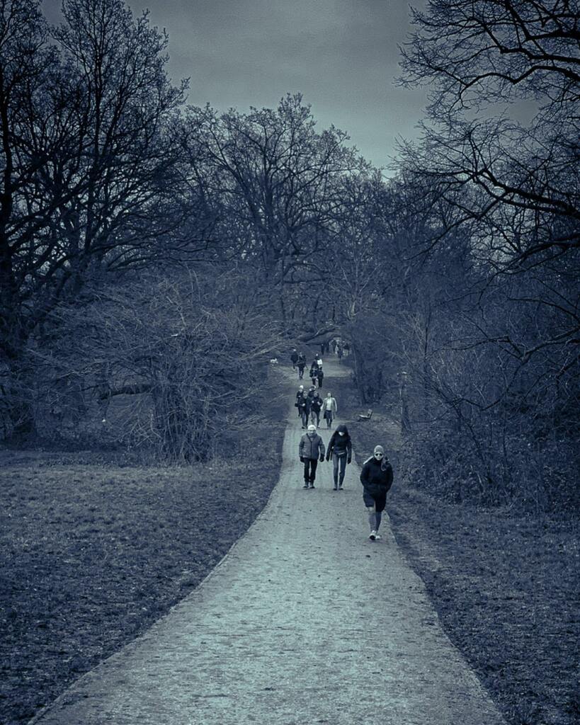 MsMarmitelover's tweet photo. On the heath on Sunday. Must. Walk. More. #coronaloner https://t.co/dasfr9mIyD https://t.co/5fazgofAcR