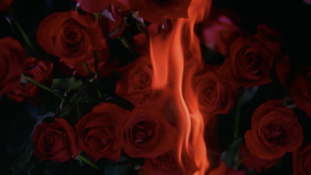 MY HEART IS THAT ETERNAL ROSE (Tam, 1989)